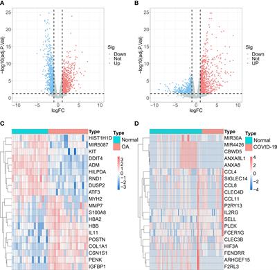 Identification of 3 key genes as novel diagnostic and therapeutic targets for OA and COVID-19